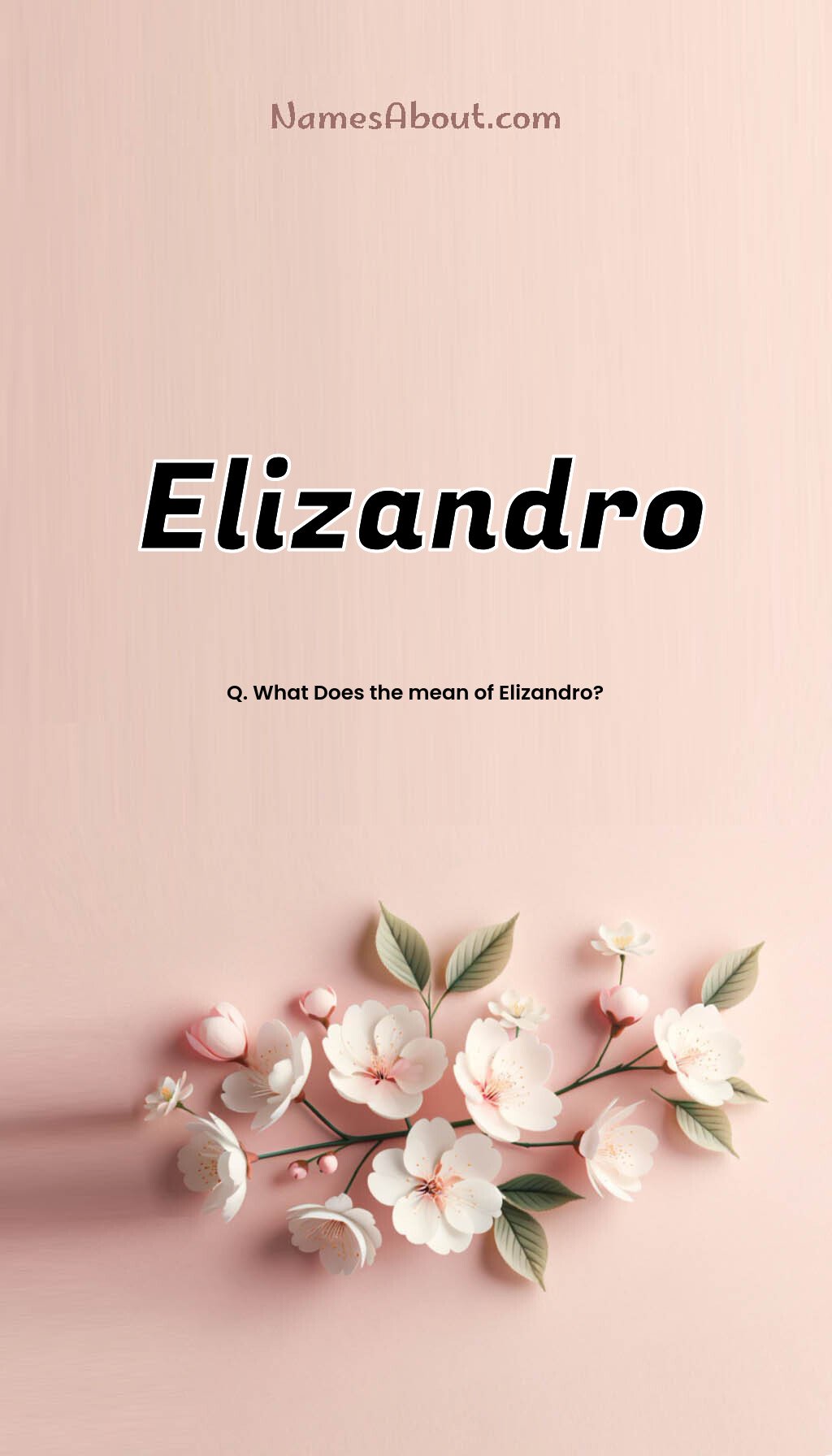 Elizandro name and meaning