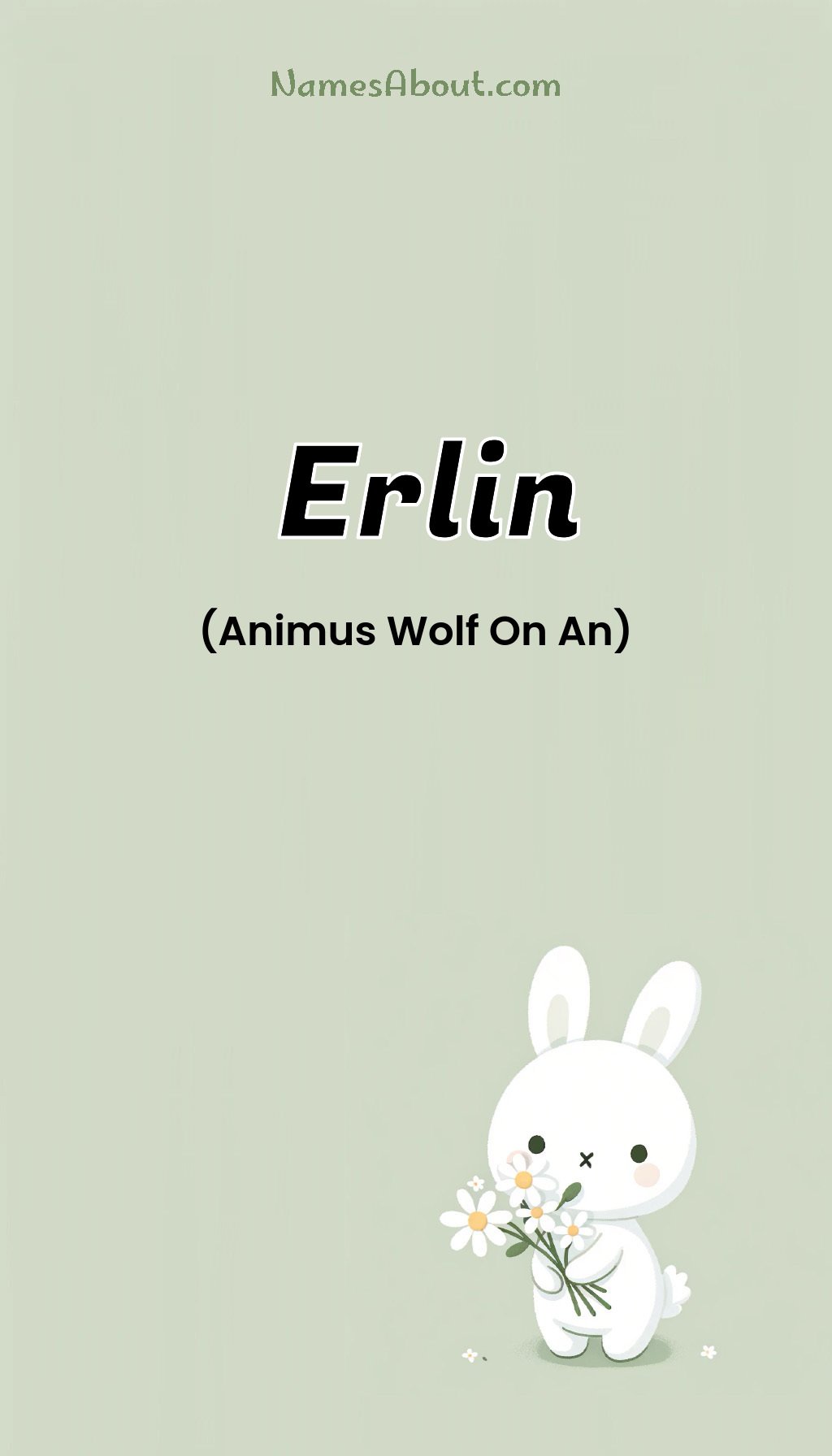 Erlin name and meaning