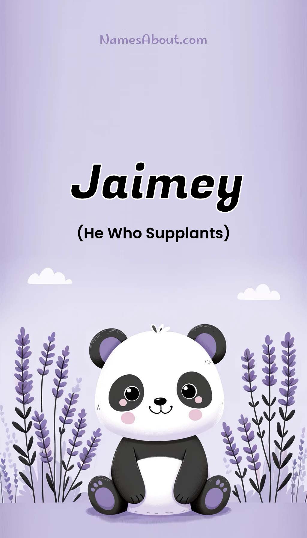 Jaimey name and meaning