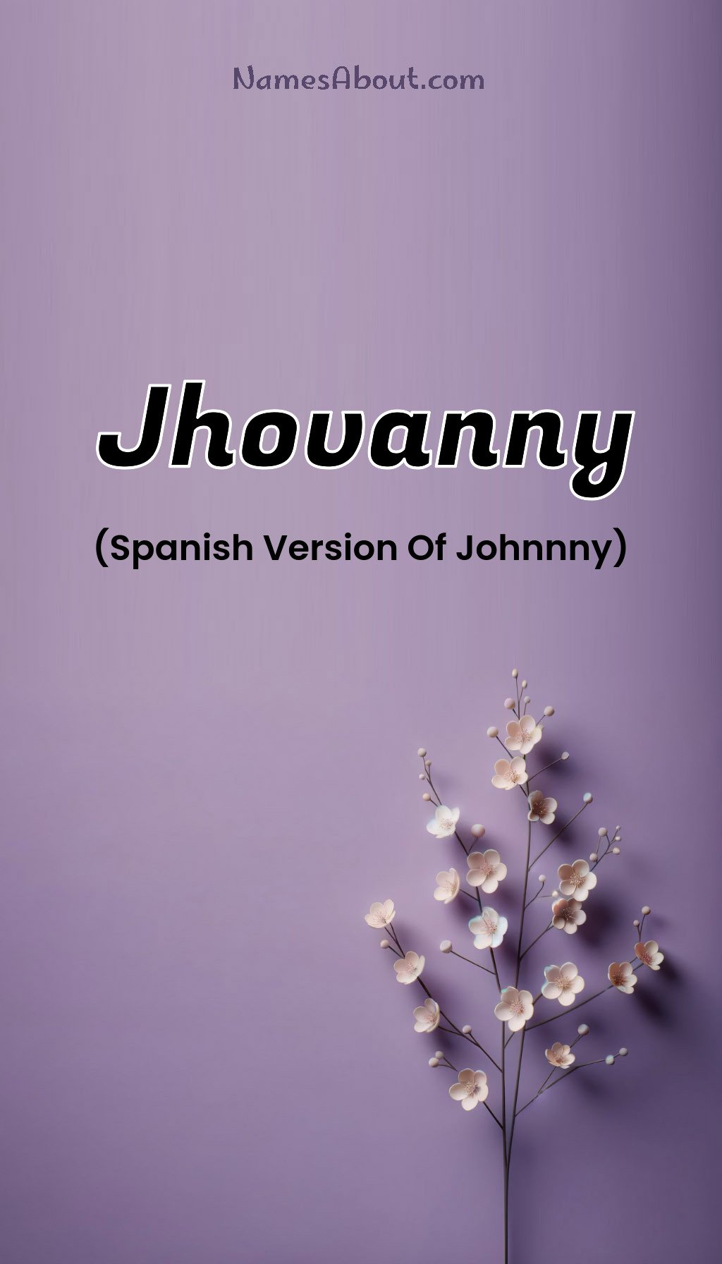 Jhovanny name and meaning