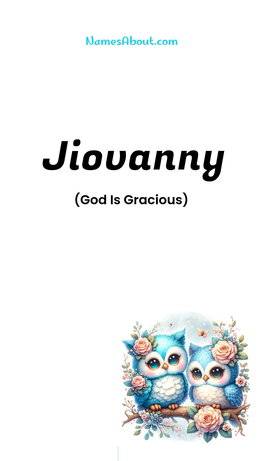 Jiovanny name and meaning