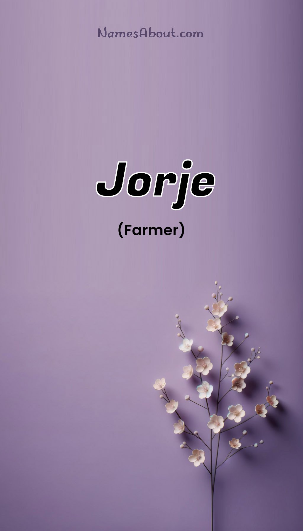 Jorje name and meaning