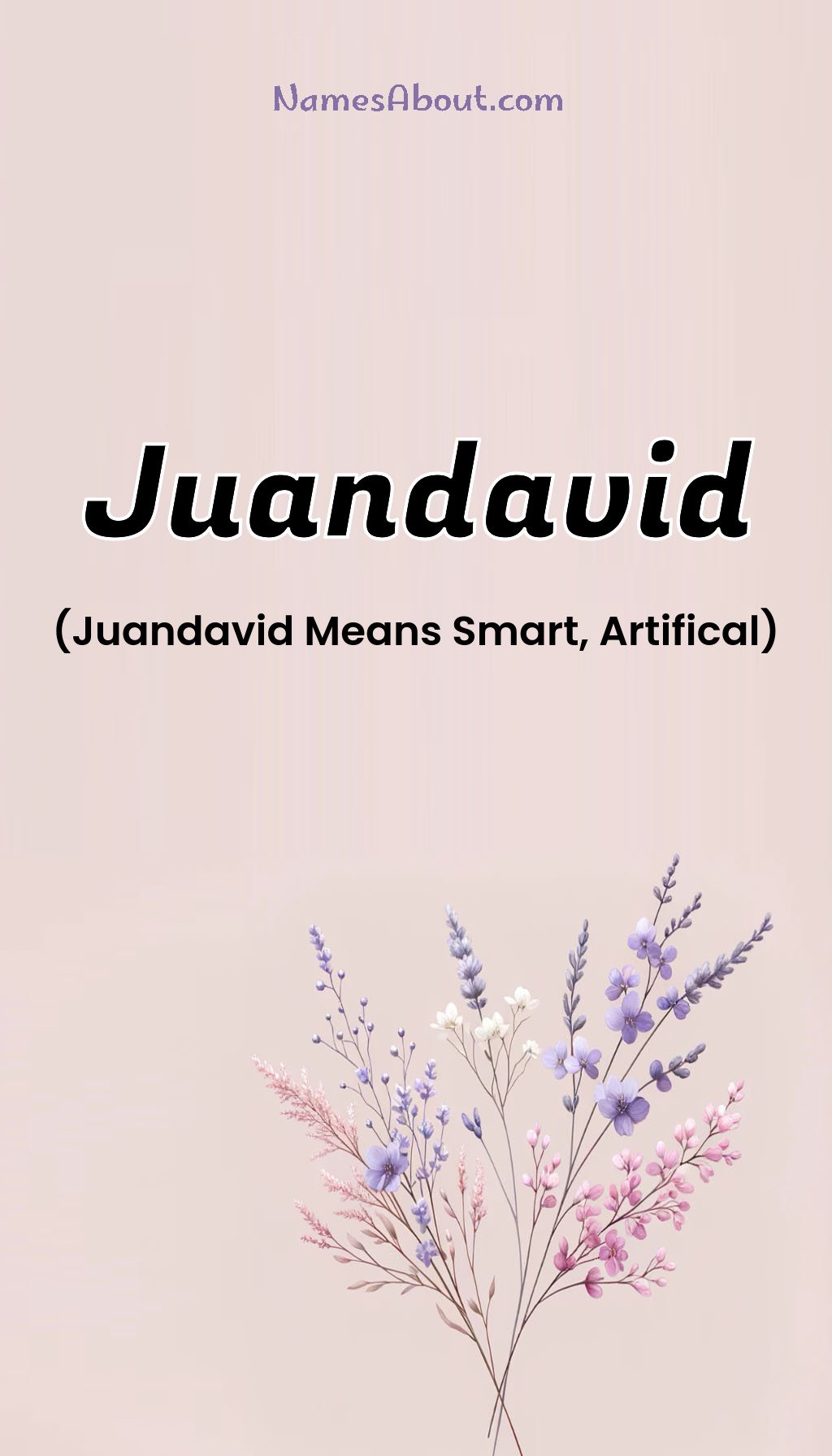 Juandavid name and meaning