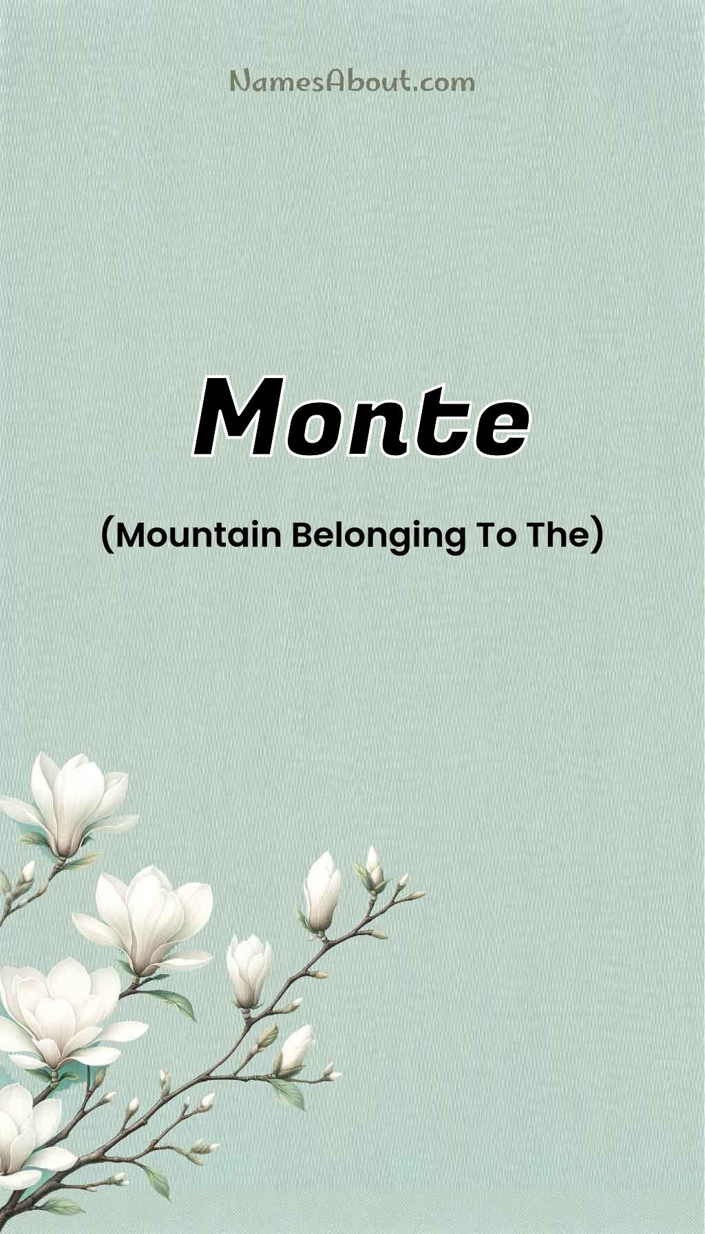 Monte name and meaning