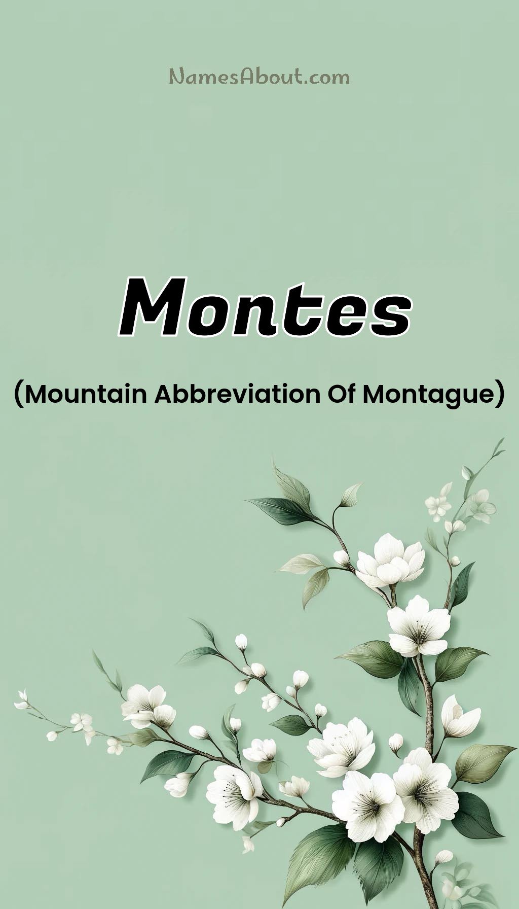 Montes name and meaning