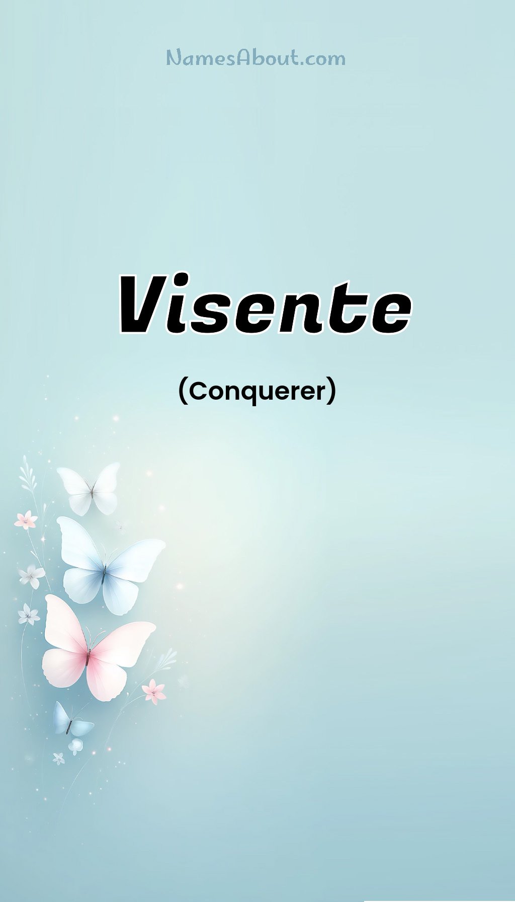 Visente name and meaning