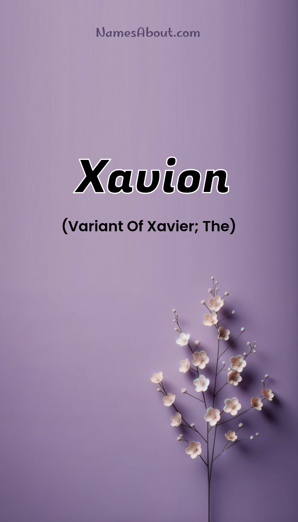 Xavion name and meaning