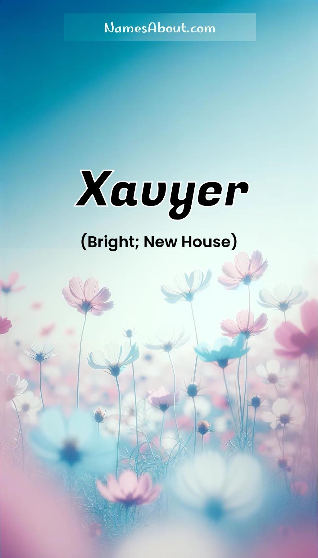 Xavyer name and meaning