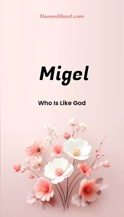 Meaning of Migel