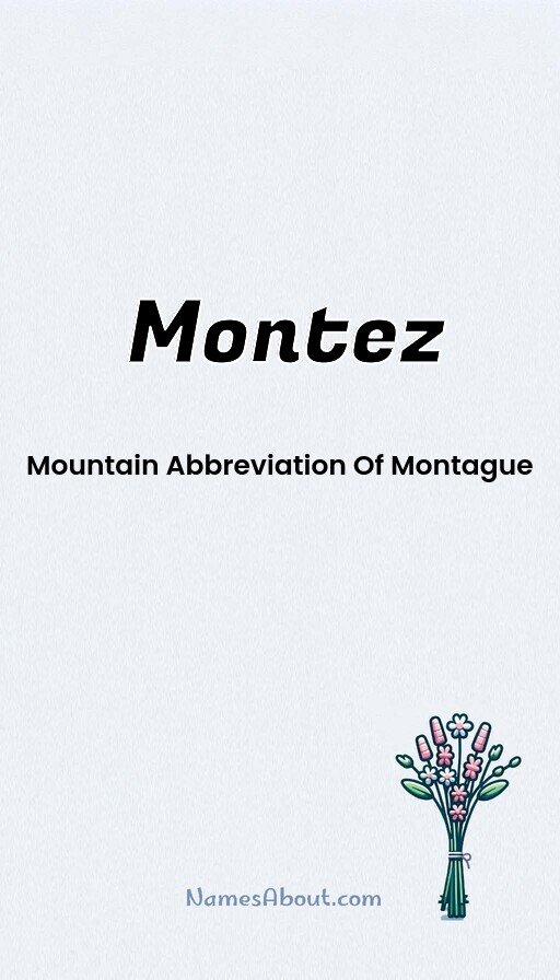 Meaning of Montez