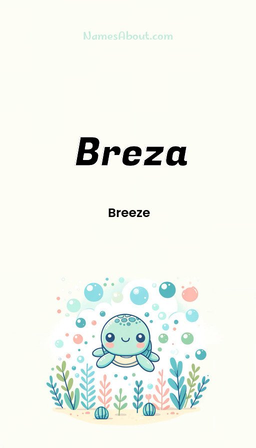 Meaning of Breza