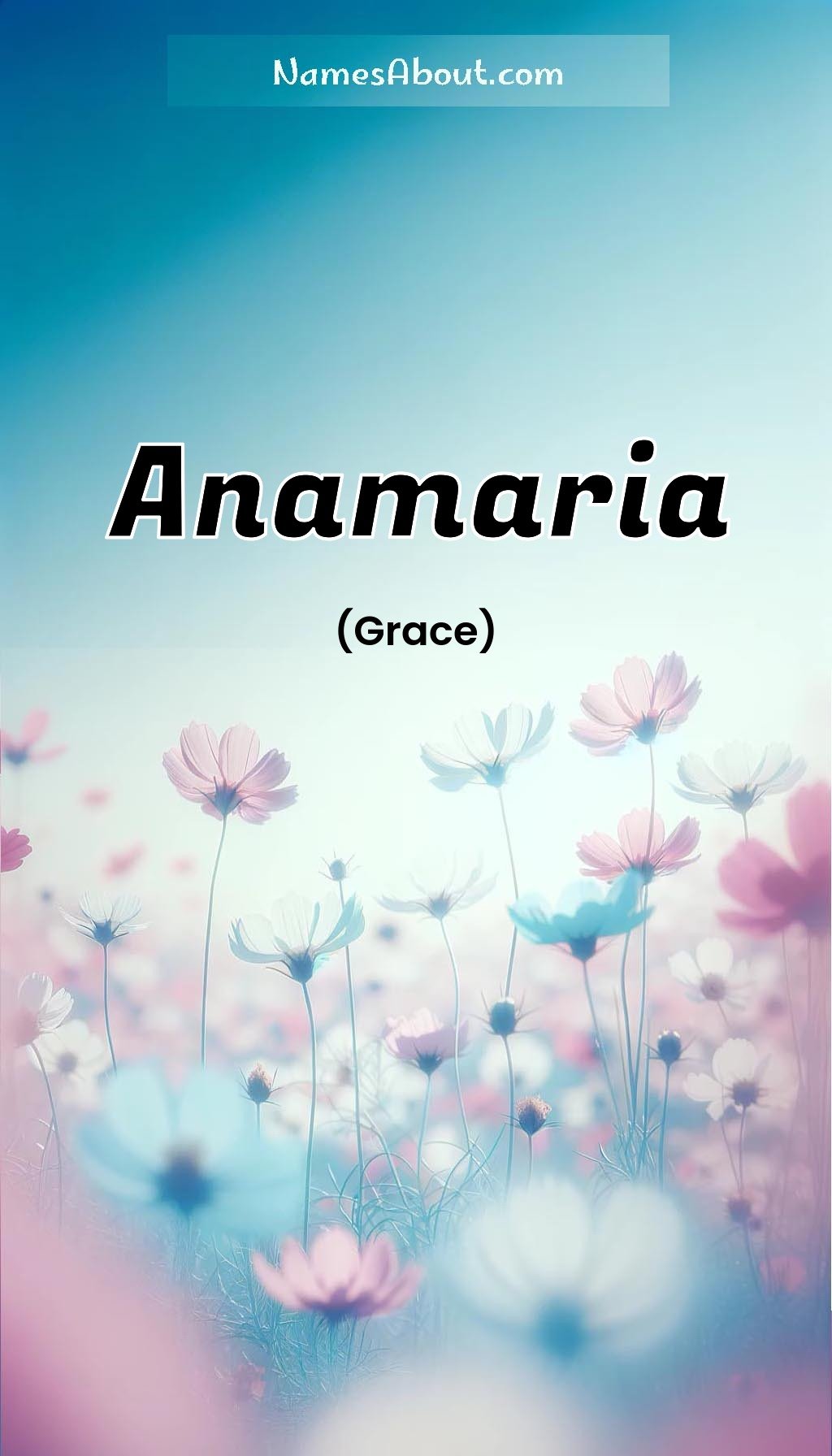 Anamaria name and meaning