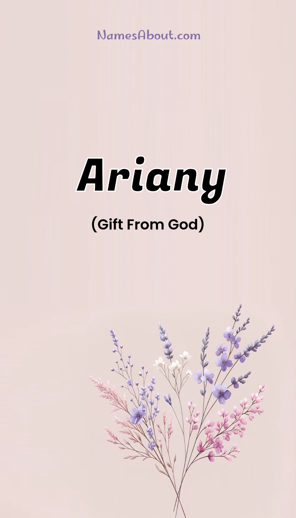 Ariany name and meaning