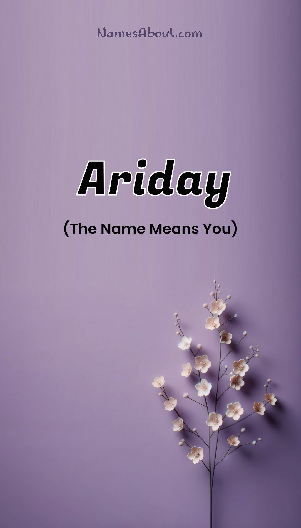 Ariday name and meaning