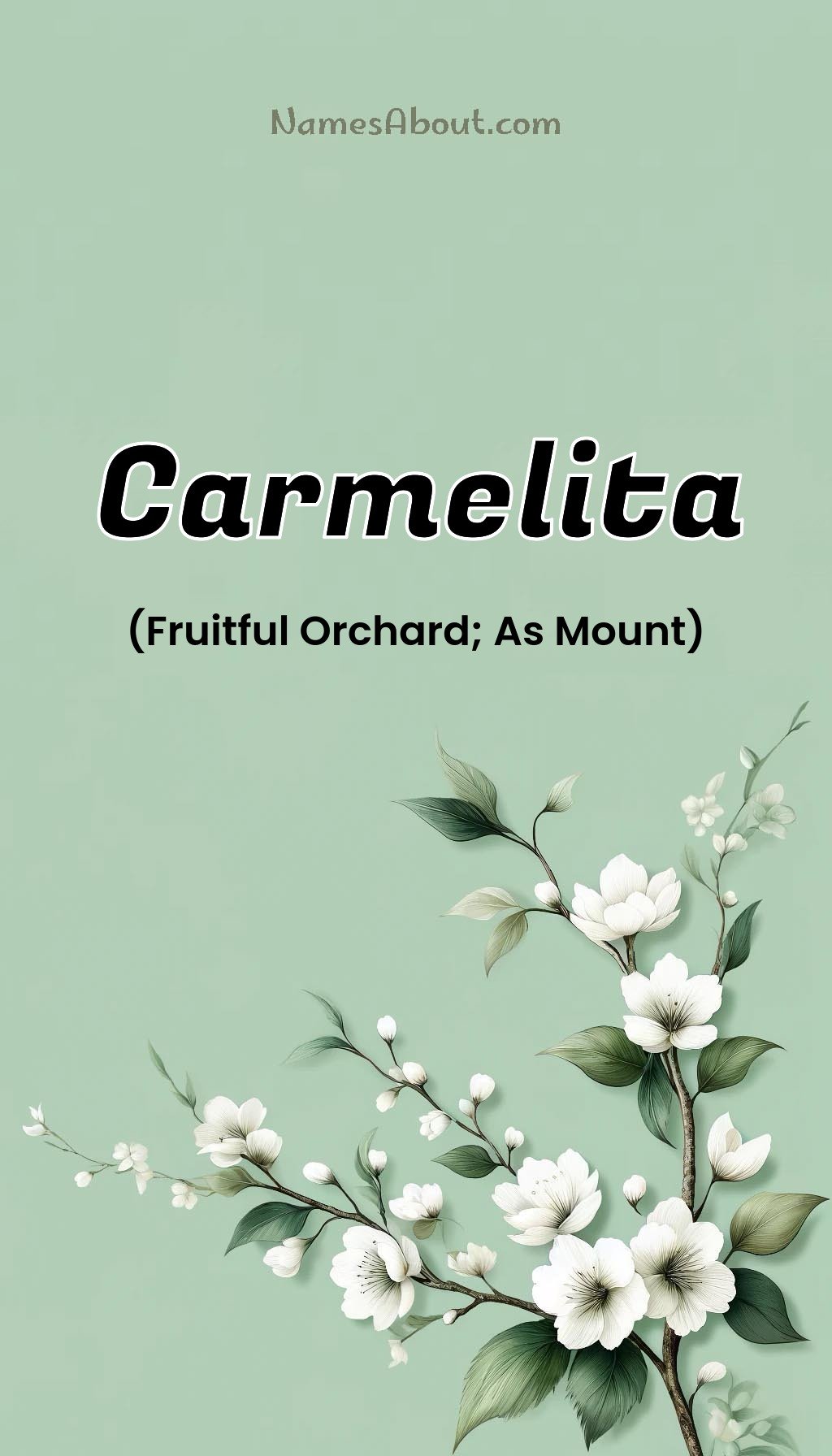 Carmelita name and meaning