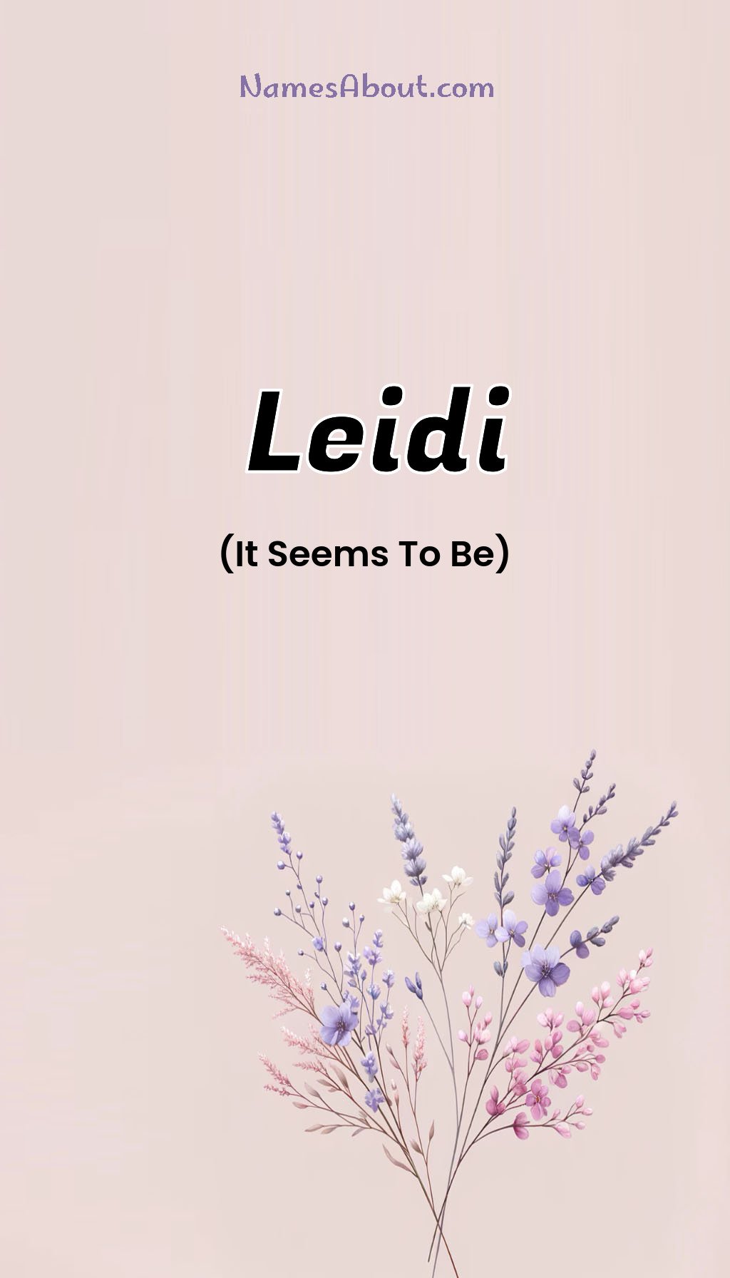 Leidi name and meaning