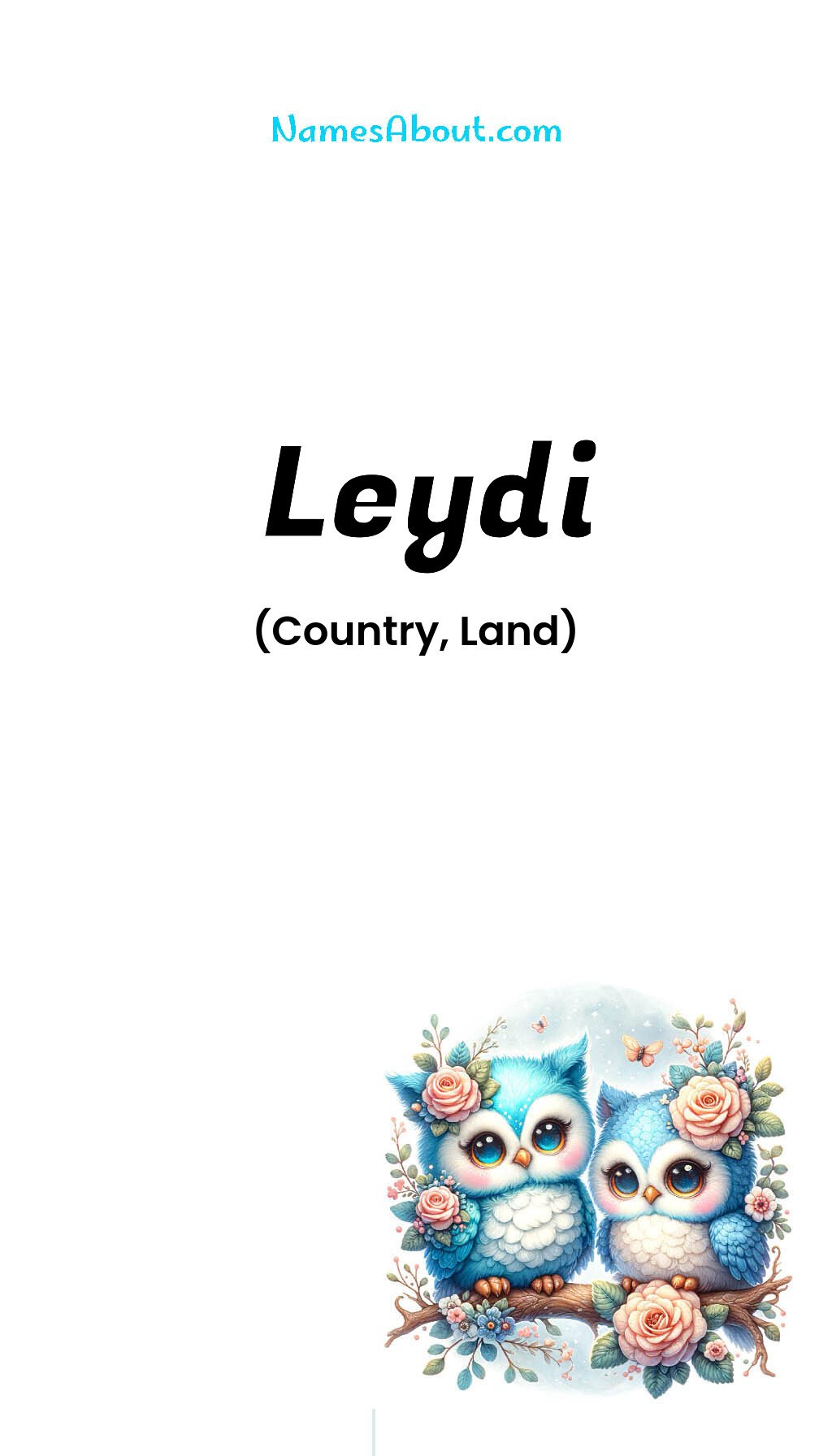 Leydi name and meaning