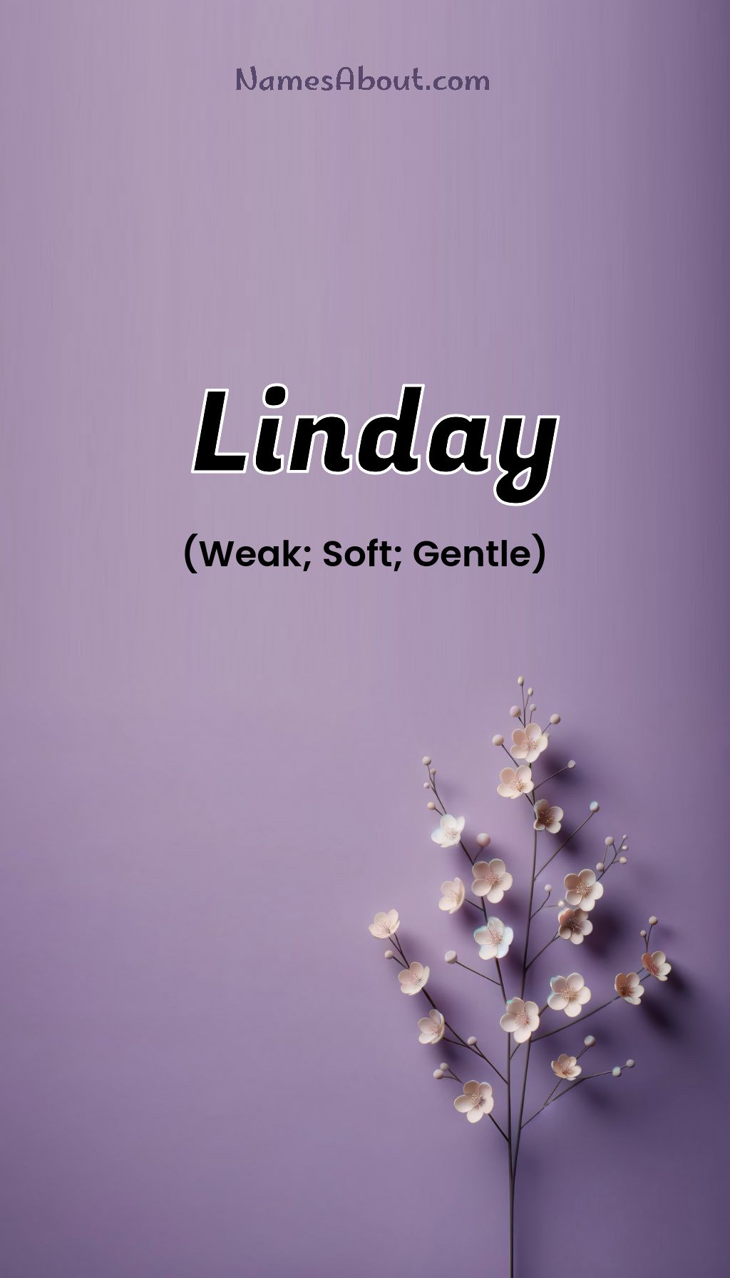 Linday name and meaning