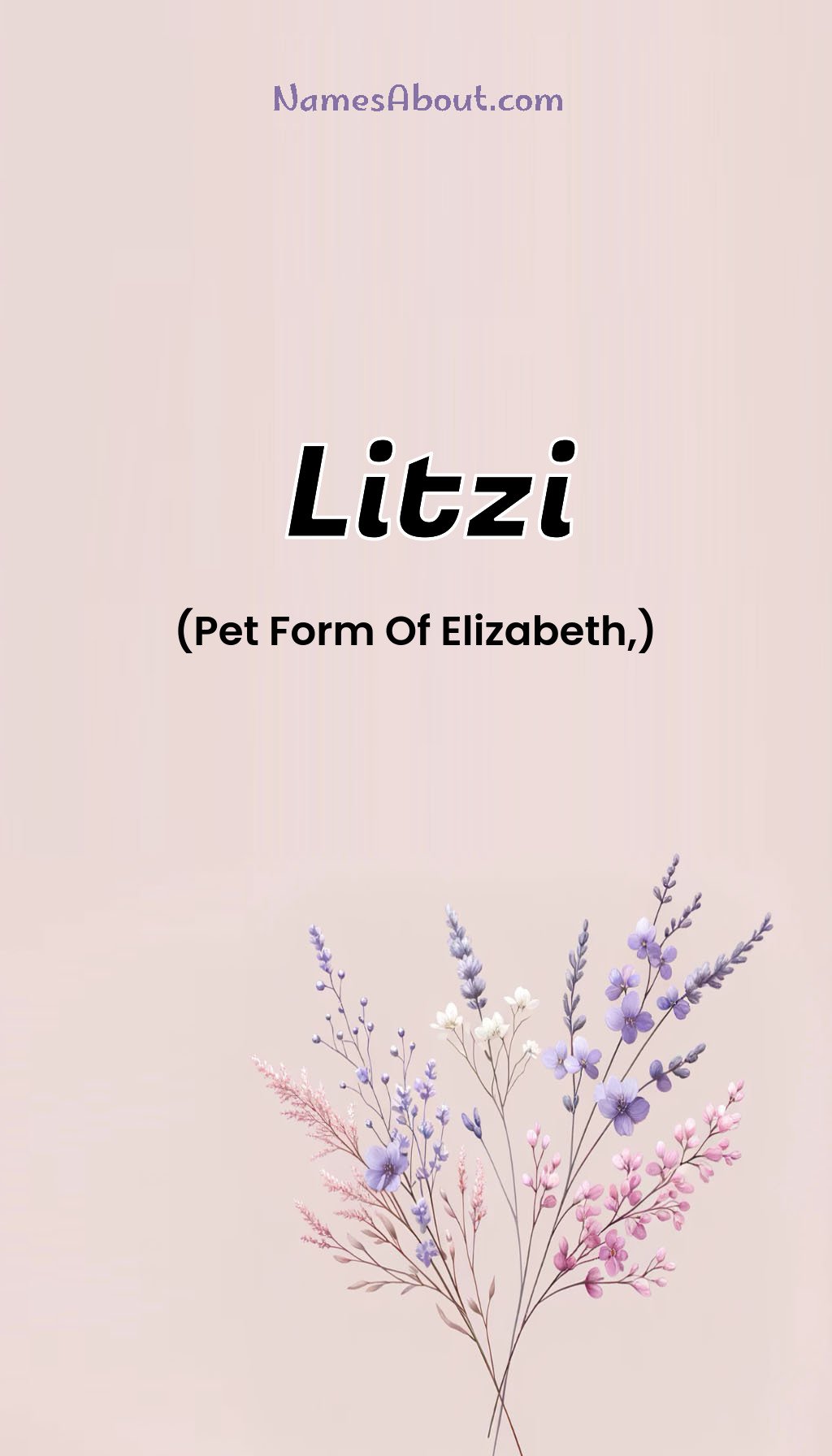 Litzi name and meaning