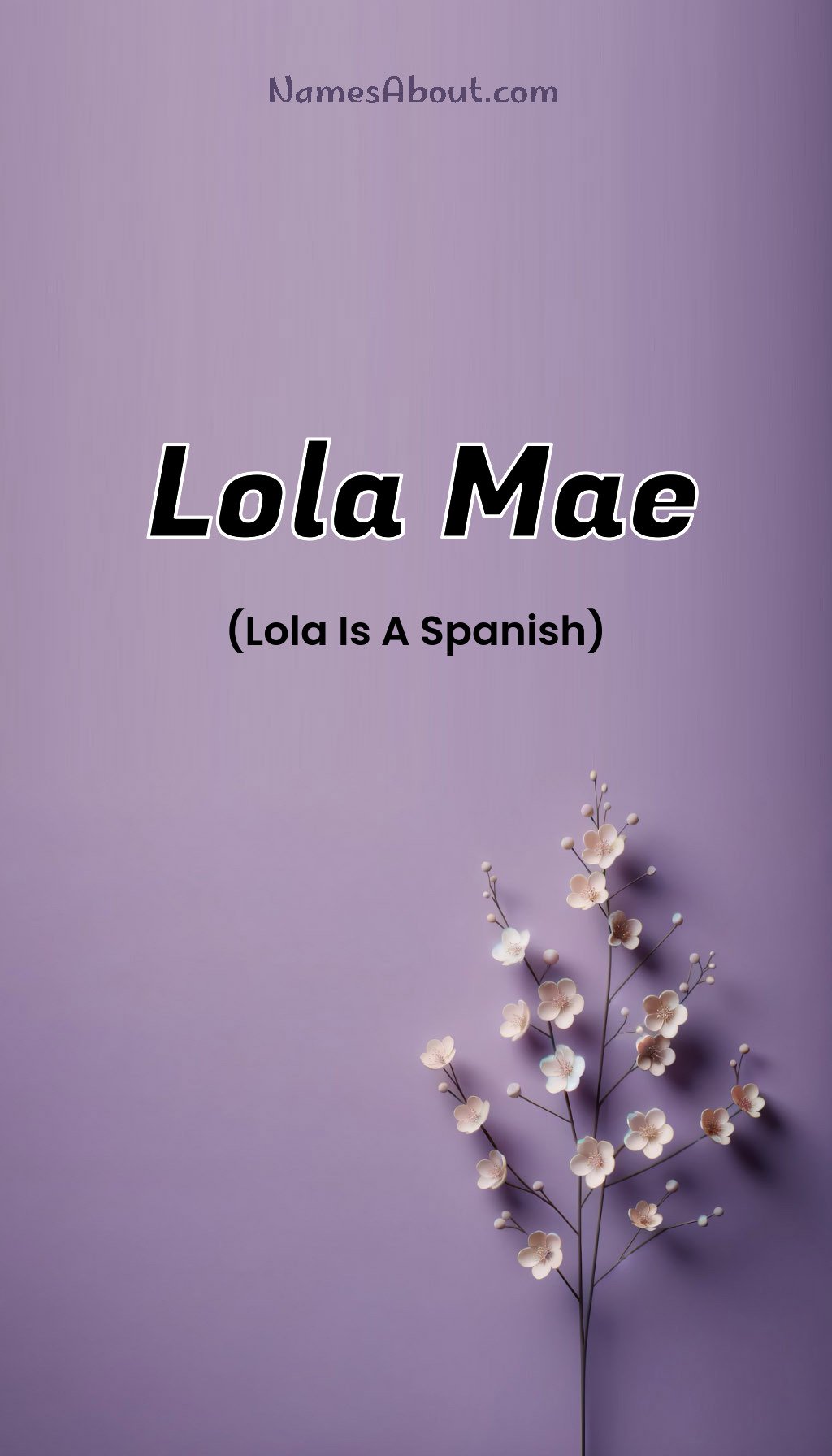 Lola Mae name and meaning