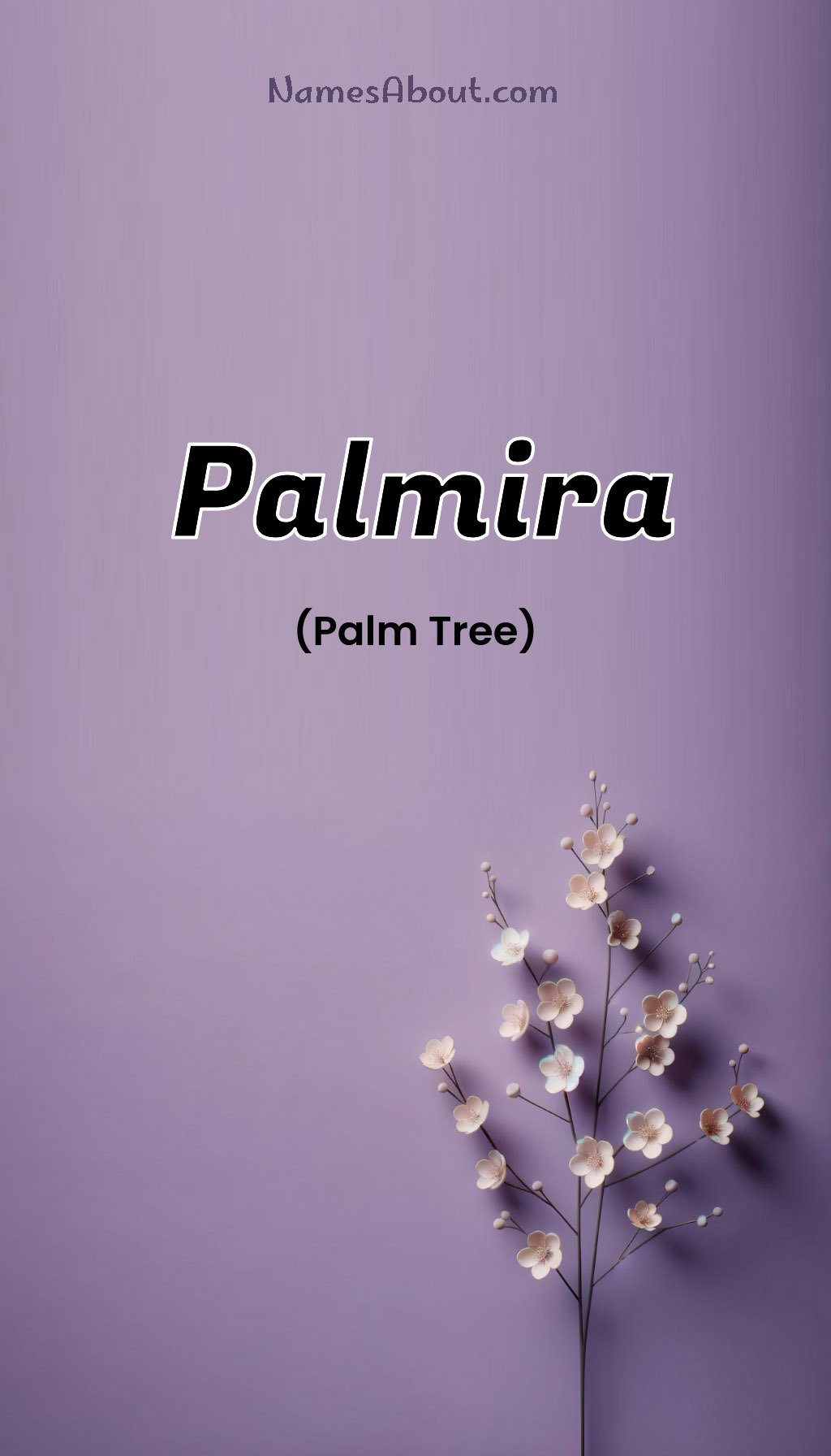 Palmira name and meaning