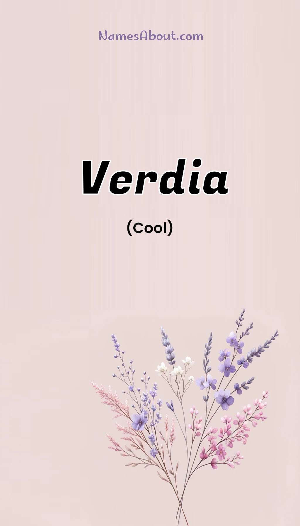 Verdia name and meaning