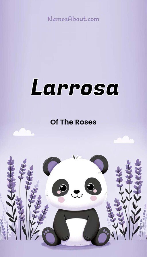 Meaning of Larrosa