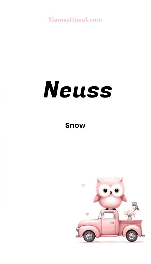 Meaning of Neuss
