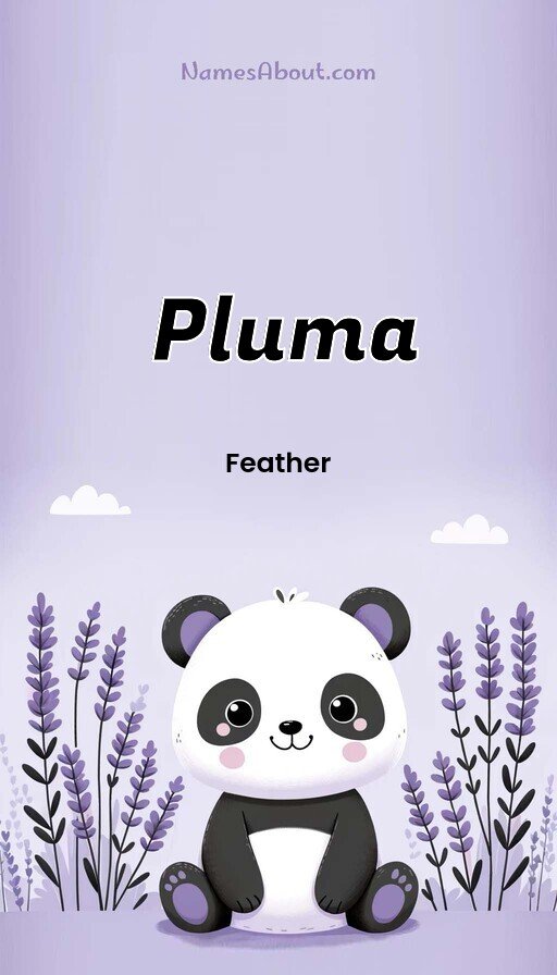Meaning of Pluma