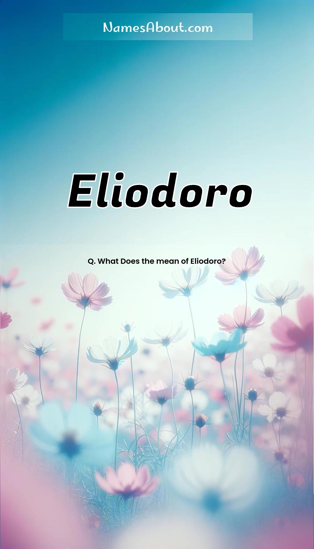 Eliodoro name and meaning