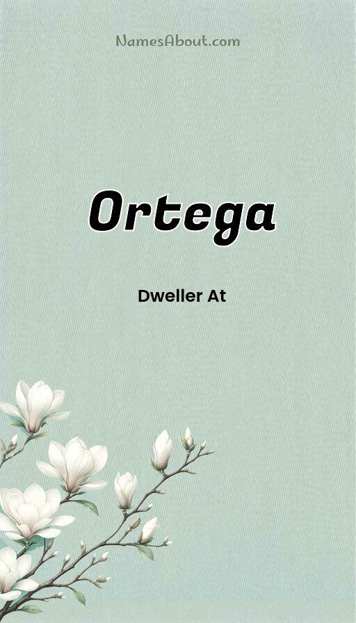 Meaning of Ortega