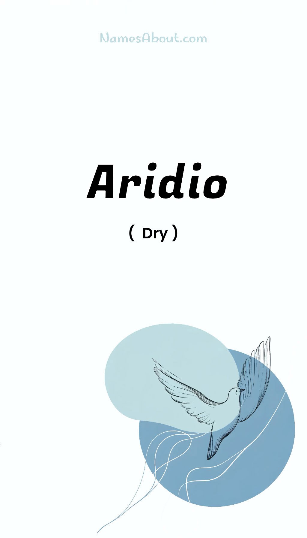 Aridio name and meaning