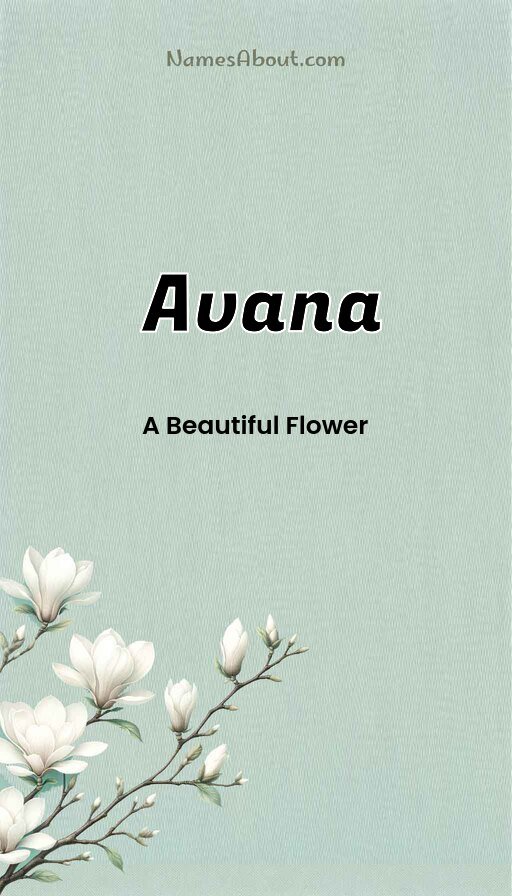 Meaning of Avana