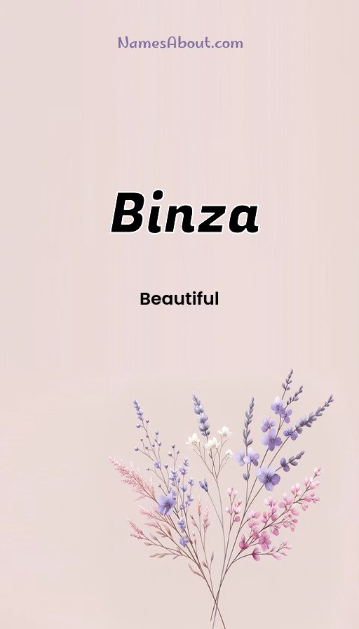 Meaning of Binza