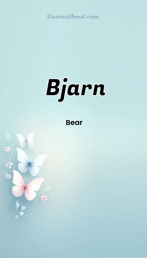 Meaning of Bjarn