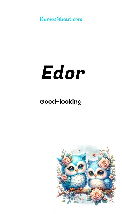 Meaning of Edor