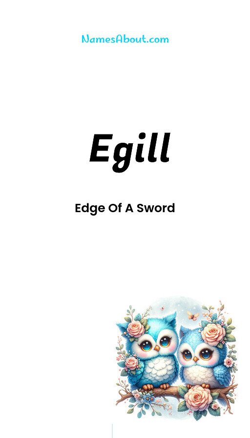 Meaning of Egill