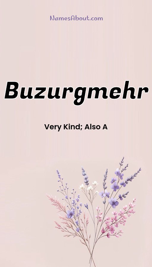 Meaning of Buzurgmehr