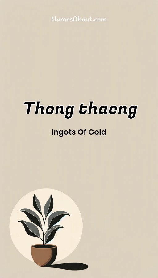 Meaning of Thong thaeng