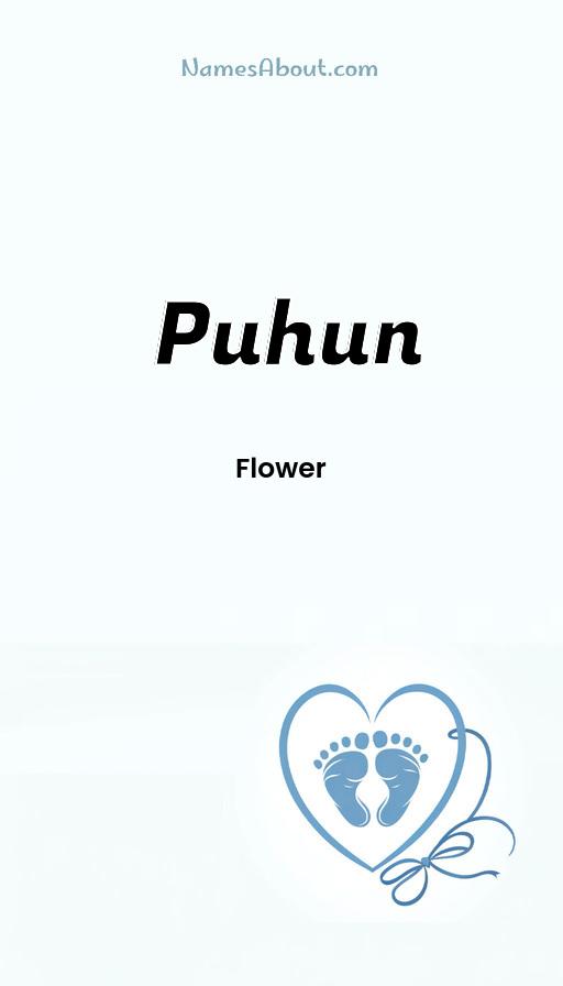 Puhun name and meaning