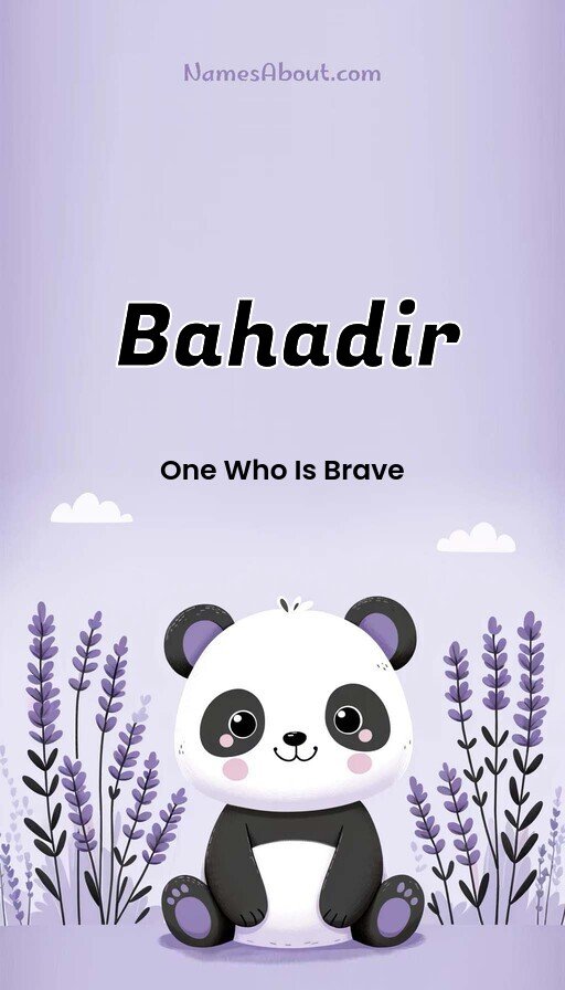 Meaning of Bahadir