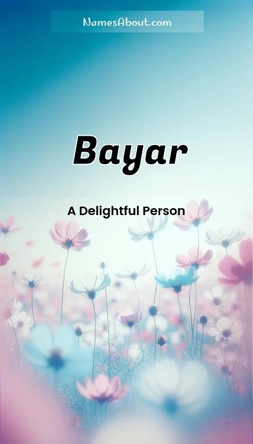 Meaning of Bayar