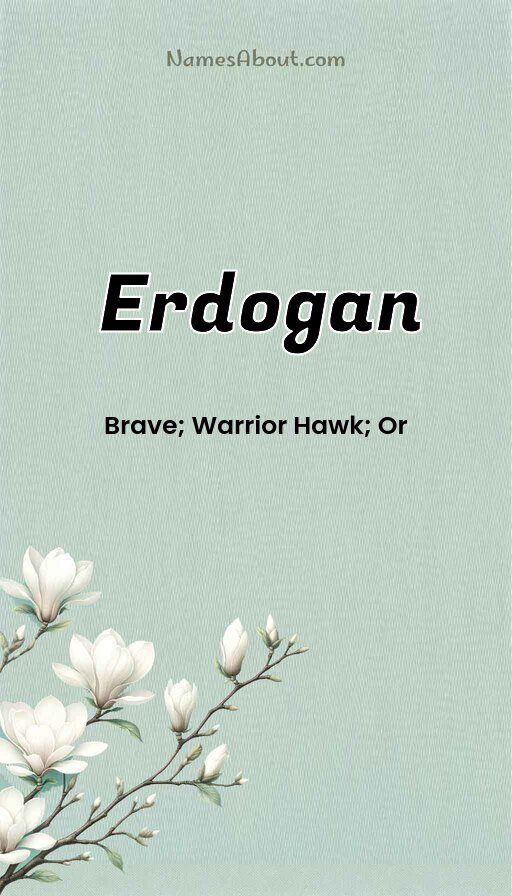 Meaning of Erdogan