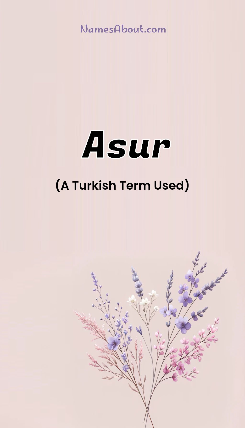 Asur name and meaning