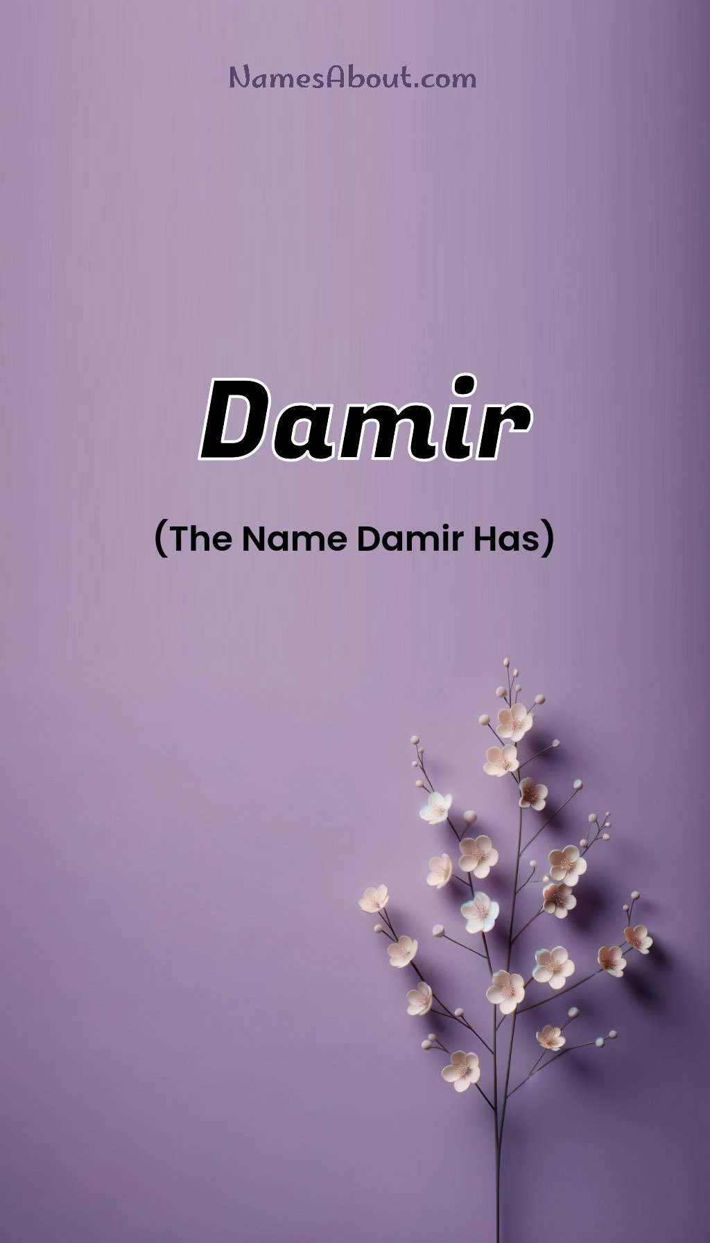 Damir name and meaning