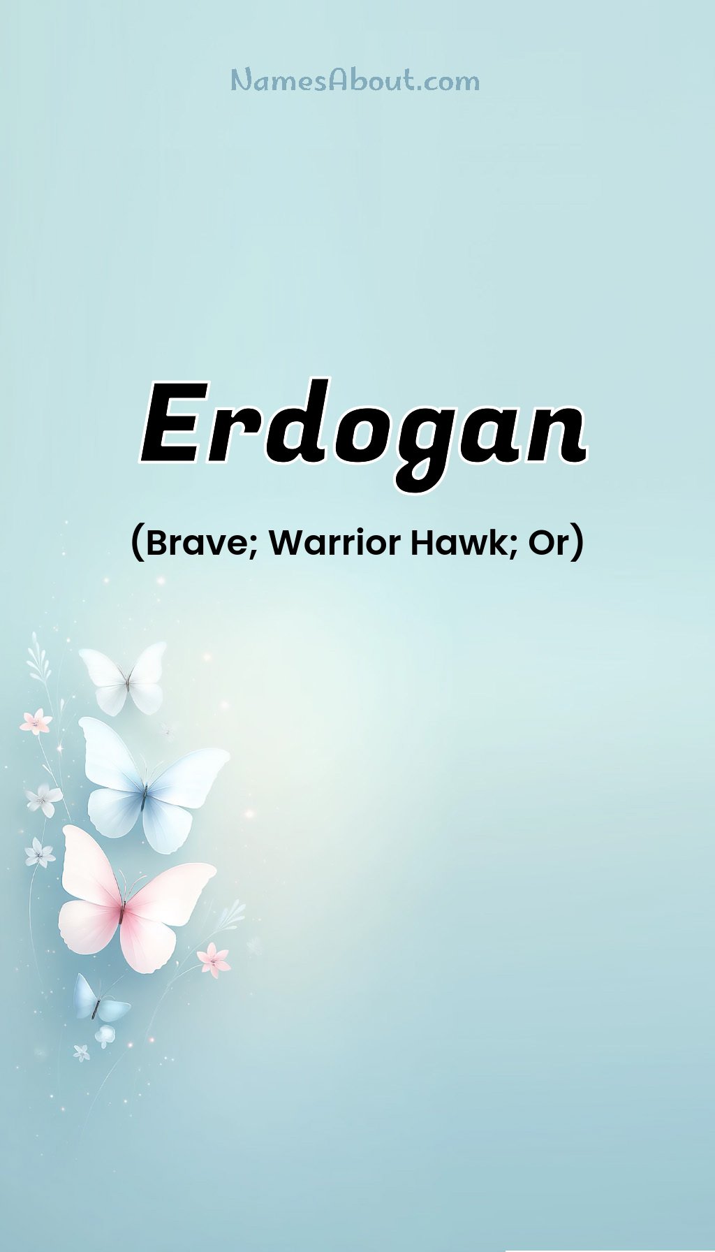 Erdogan name and meaning