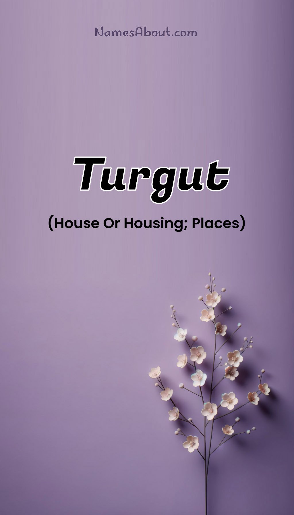 Turgut name and meaning