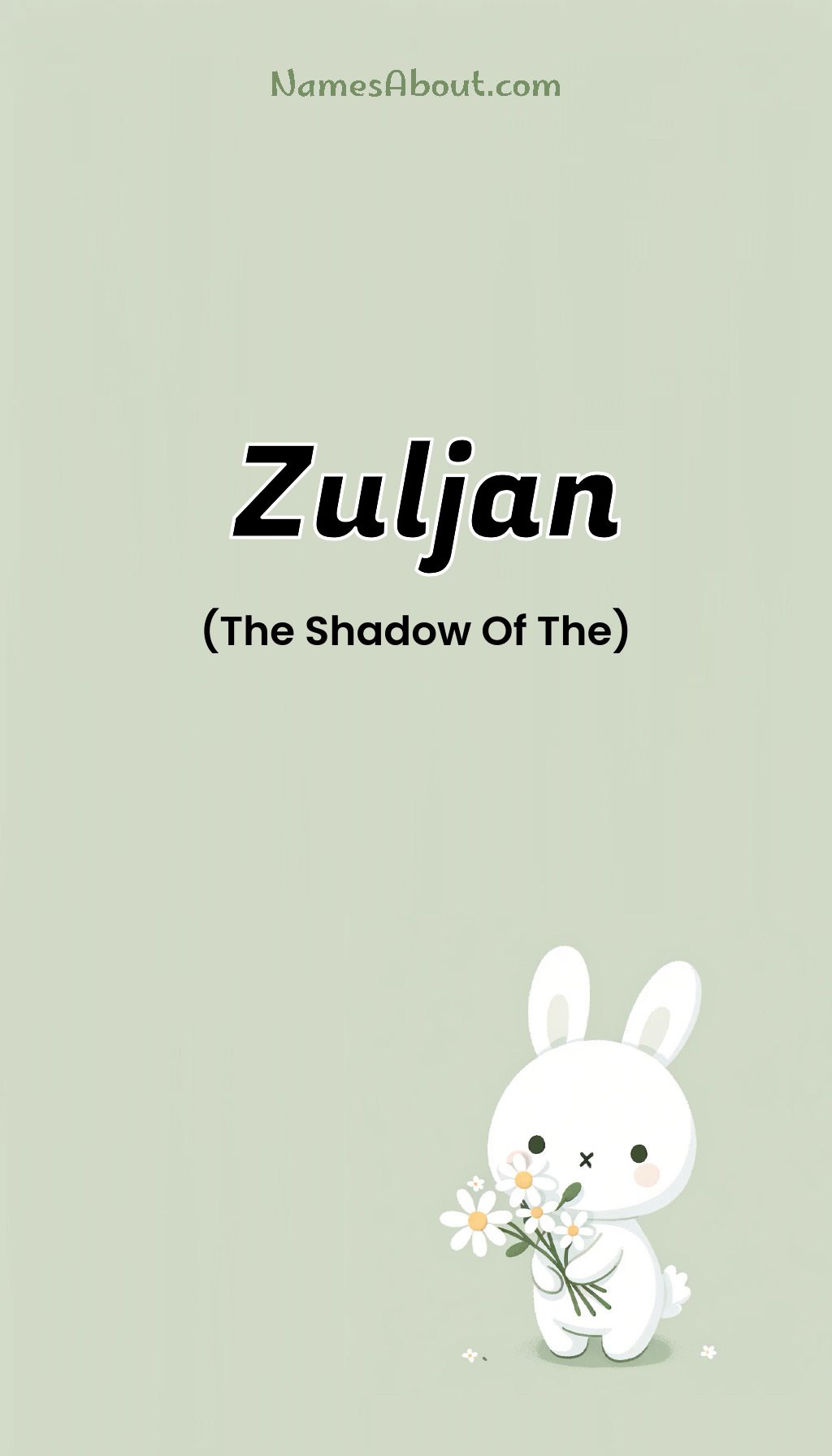 Zuljan name and meaning