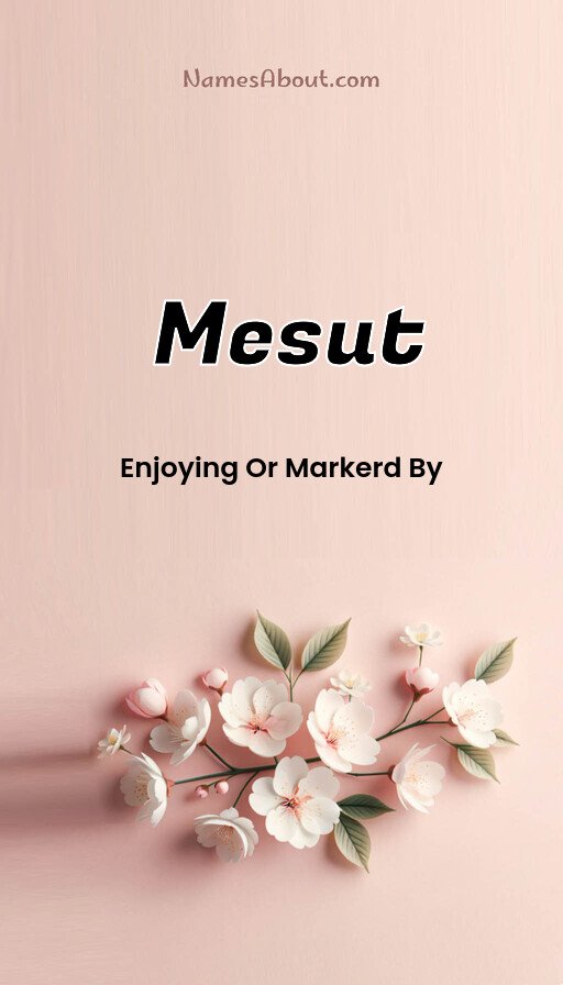 Meaning of Mesut