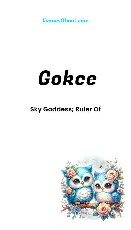 Meaning of Gokce